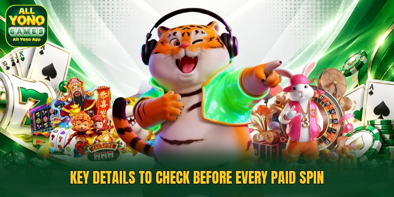 Key details to check before every paid spin