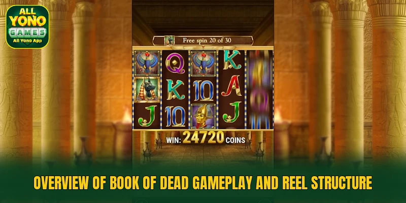Overview of Book of Dead gameplay and reel structure